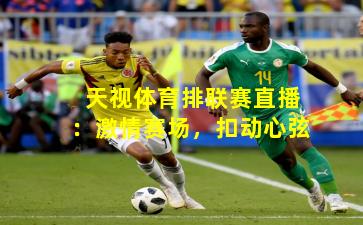 天视体育排联赛直播：激情赛场，扣动心弦