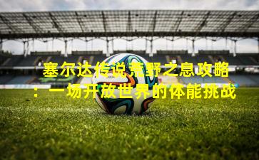  塞尔达传说荒野之息攻略：一场开放世界的体能挑战